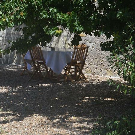 Vila Gite Dans Le Vignoble De Bourgueil Le Port Boulet Exteriér fotografie