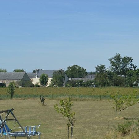 Vila Gite Dans Le Vignoble De Bourgueil Le Port Boulet Exteriér fotografie