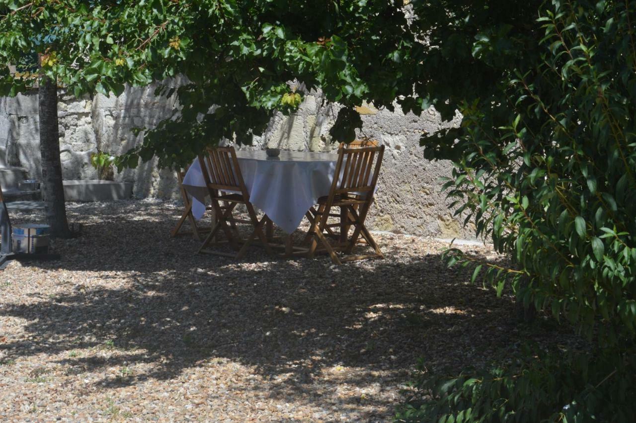 Vila Gite Dans Le Vignoble De Bourgueil Le Port Boulet Exteriér fotografie