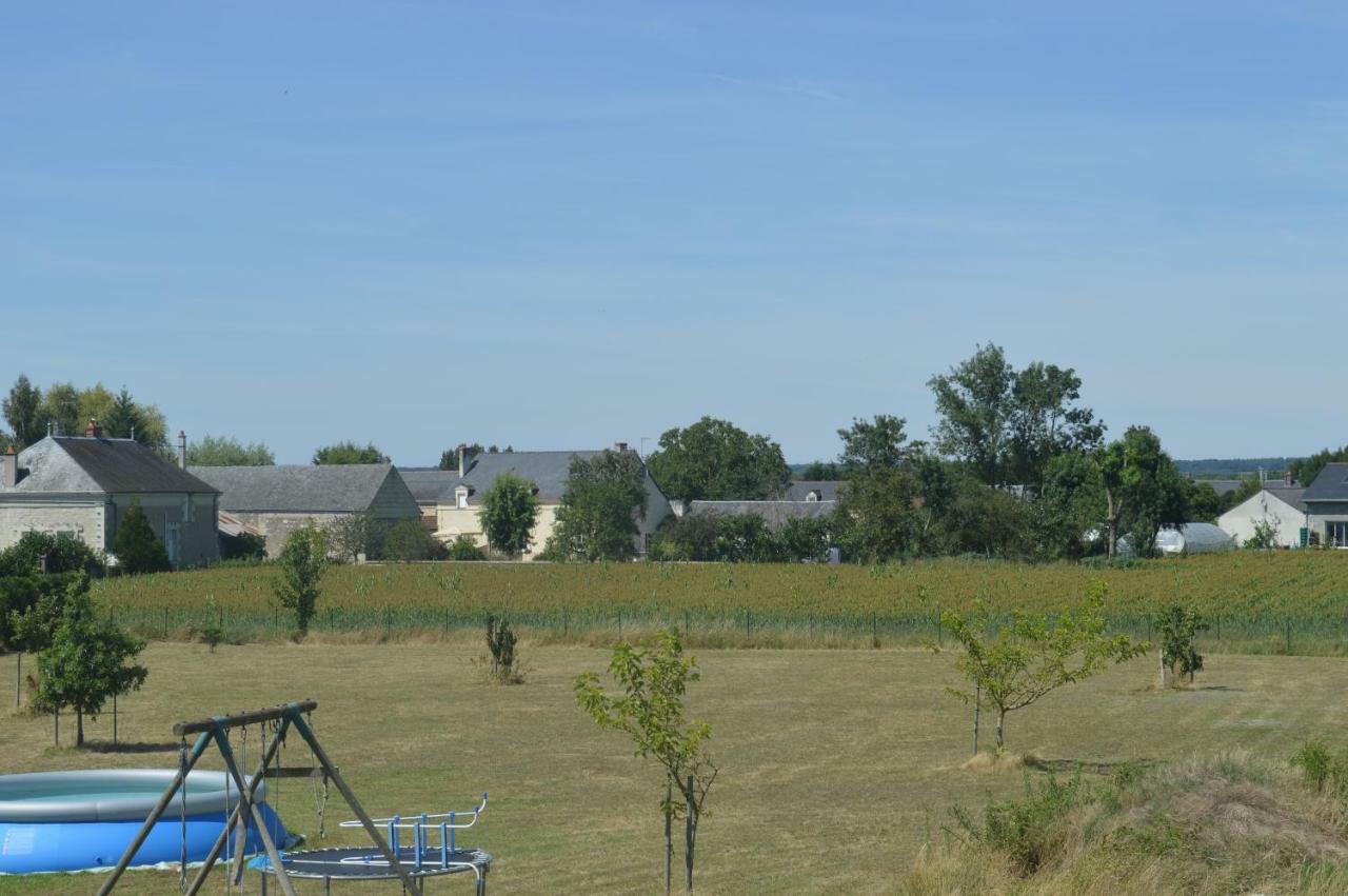 Vila Gite Dans Le Vignoble De Bourgueil Le Port Boulet Exteriér fotografie