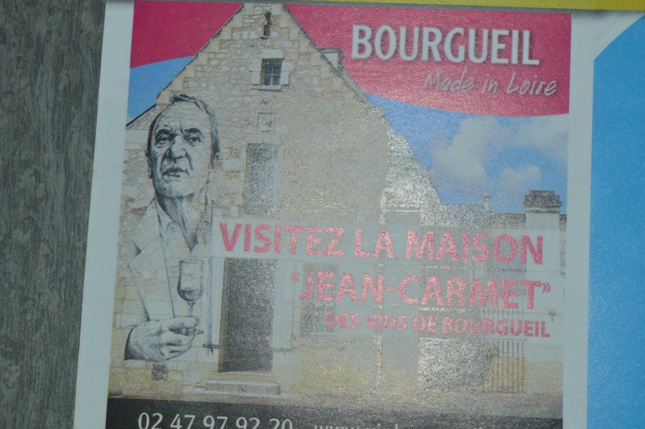 Vila Gite Dans Le Vignoble De Bourgueil Le Port Boulet Exteriér fotografie