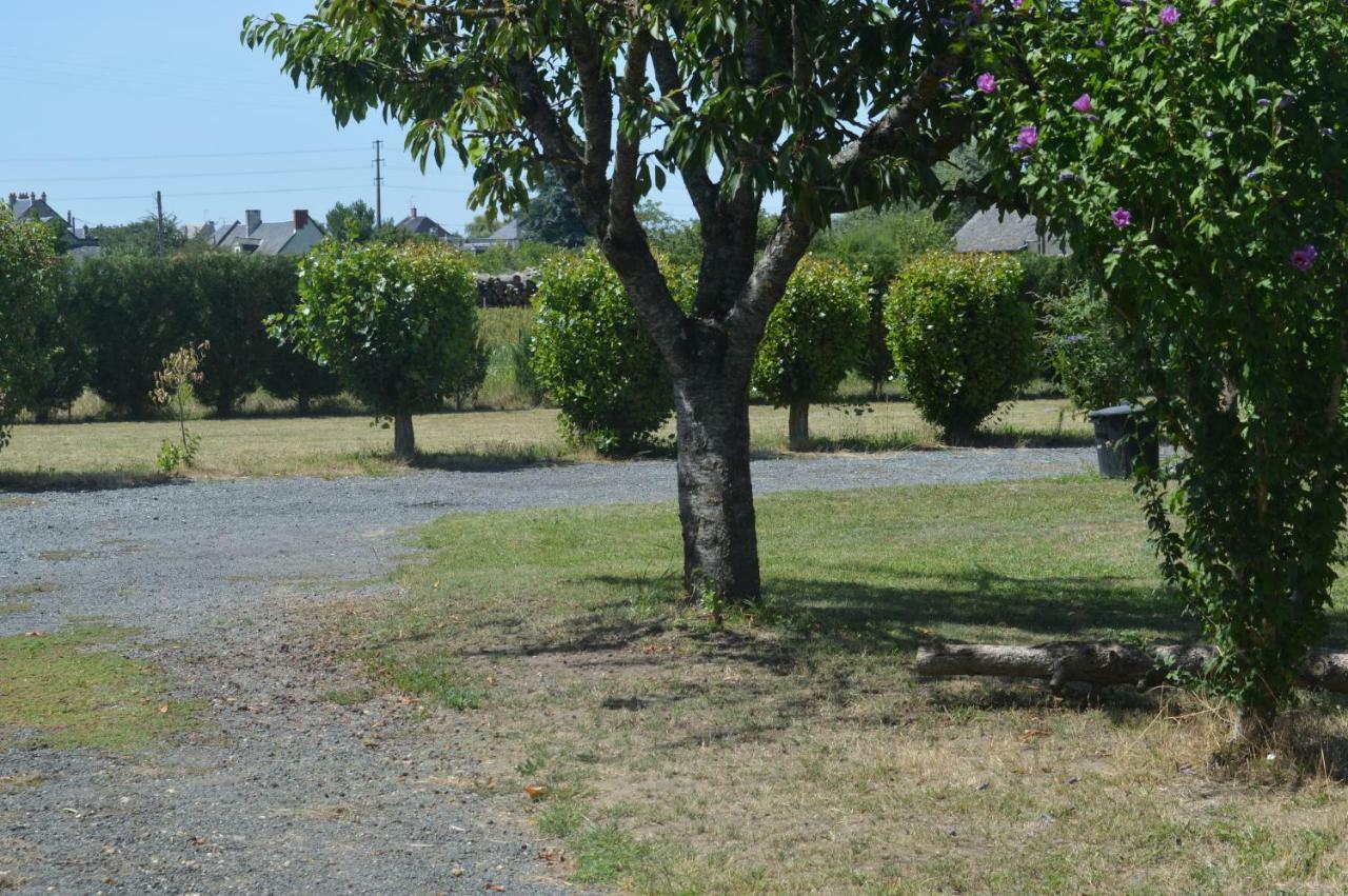 Vila Gite Dans Le Vignoble De Bourgueil Le Port Boulet Exteriér fotografie