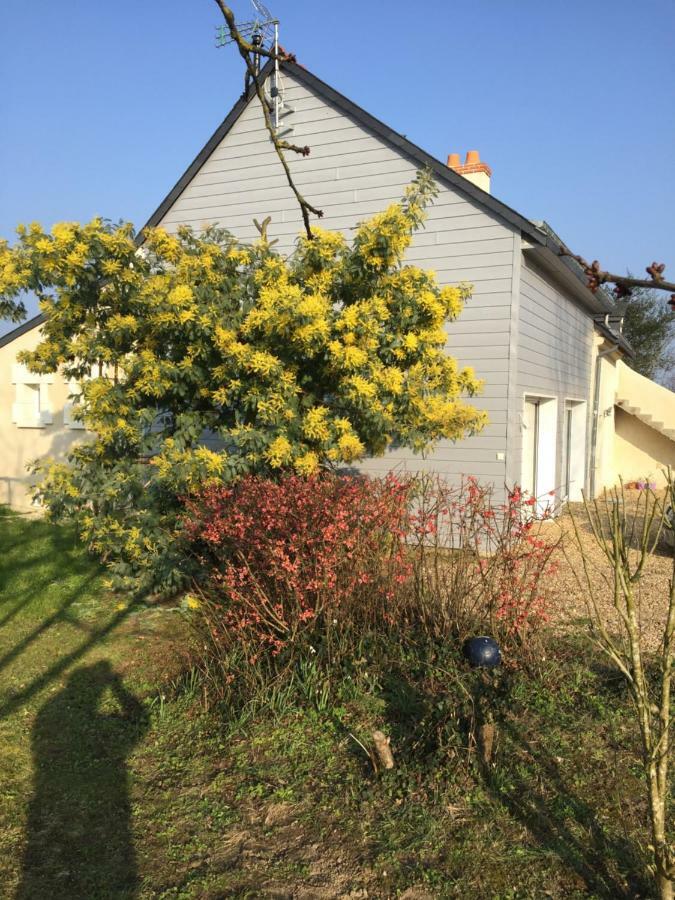 Vila Gite Dans Le Vignoble De Bourgueil Le Port Boulet Exteriér fotografie